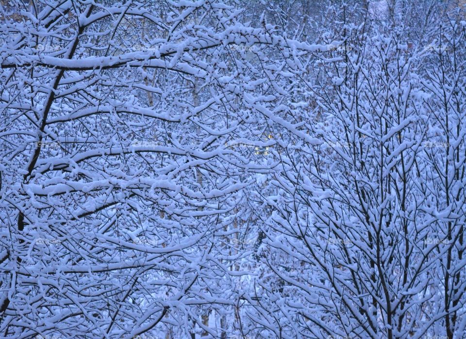 Frost, Desktop, Winter, Cold, Abstract