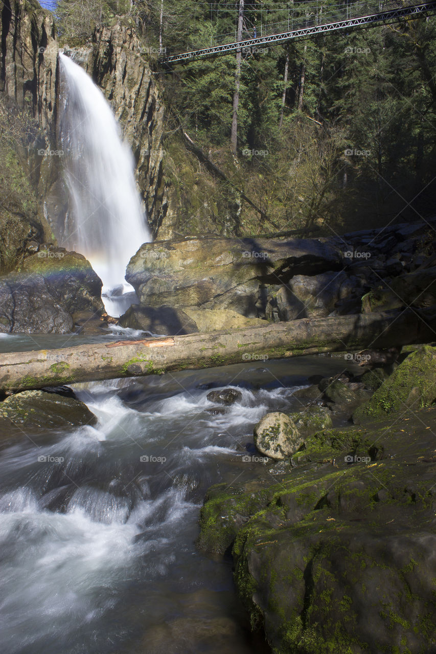 drift creek falls