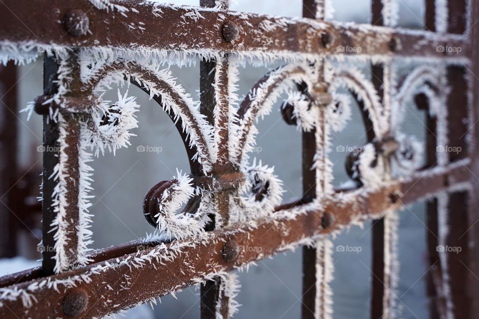 Metal fence structures in frost