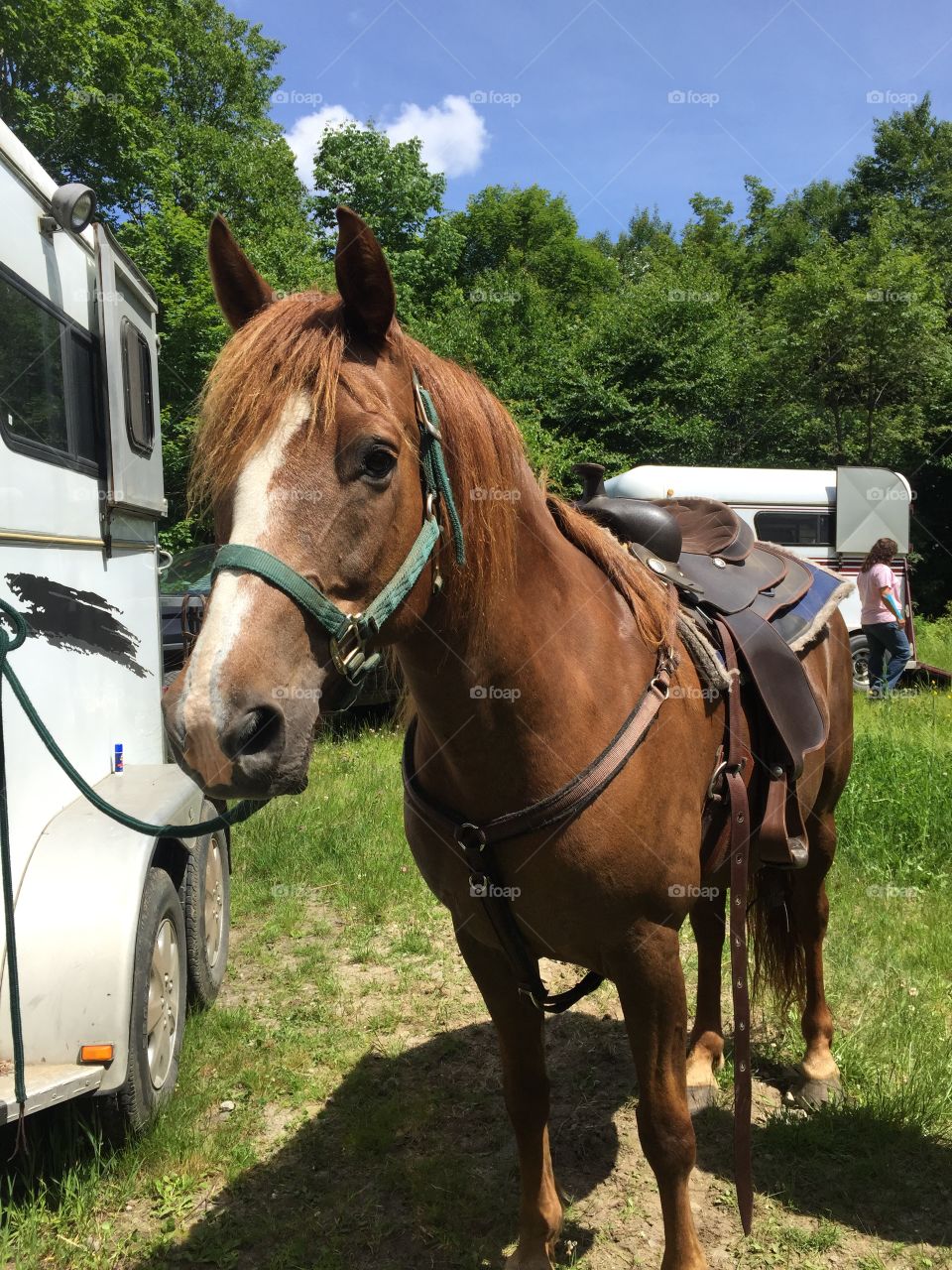 Time to hit the trail