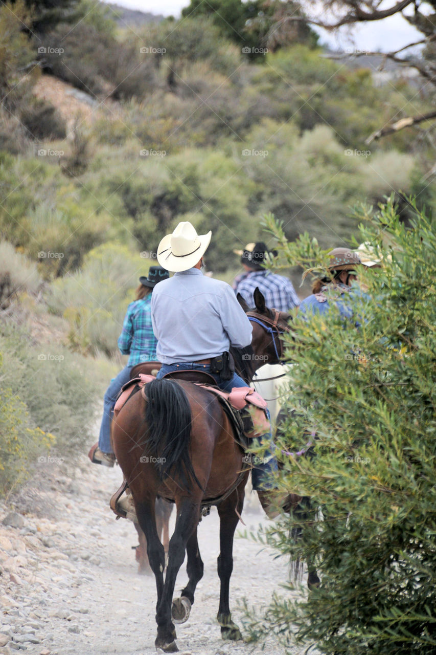 Horseback riding 