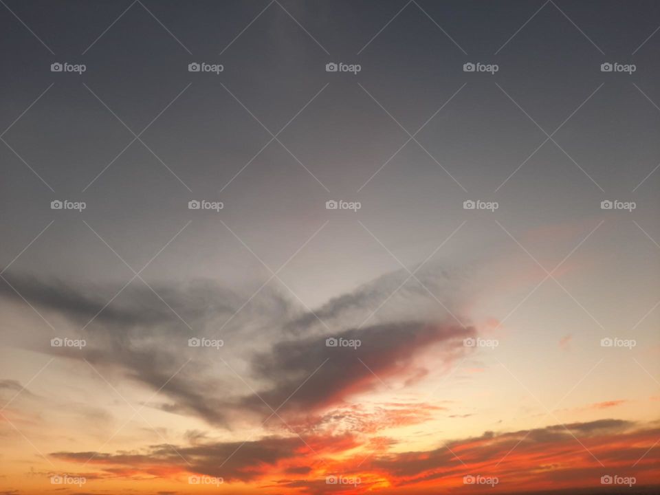 Please, I want you to support me, I need your help, I am poor, I need dollars, please