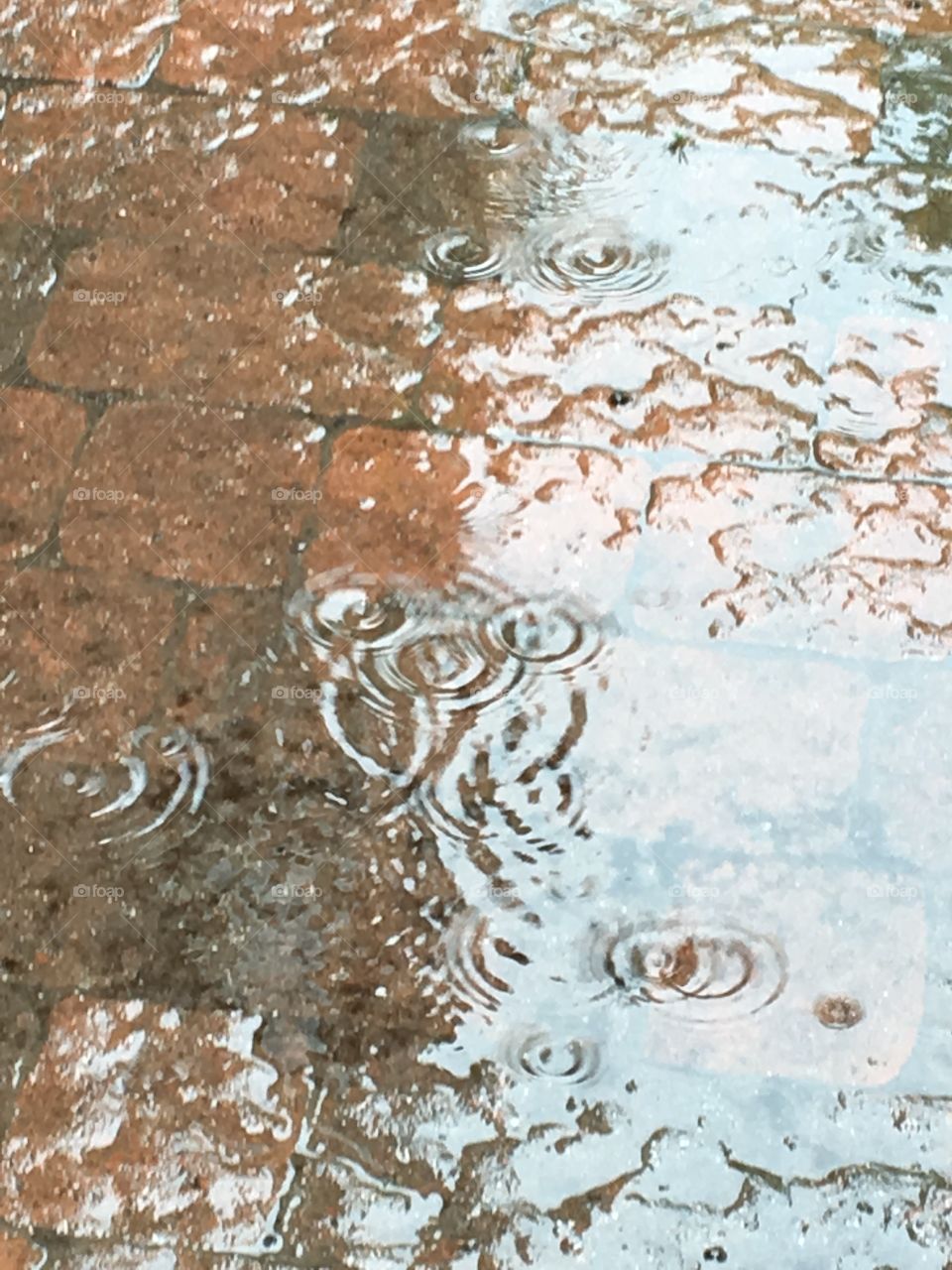 Rain puddles over bricks