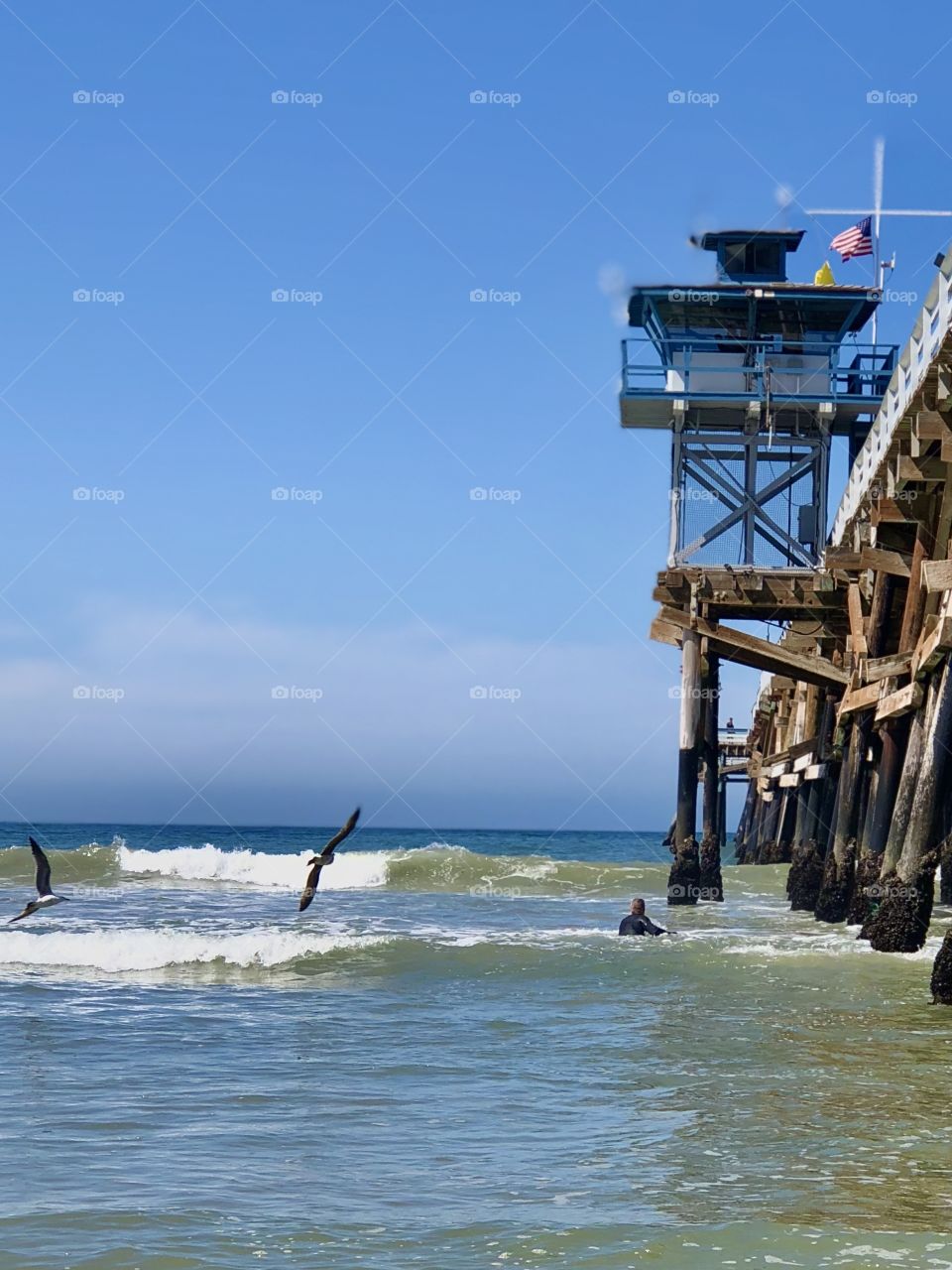 Foap Mission Vertical Captures! Surfer Next To The San Clemente Pier WTH Waves And Seagulls!
