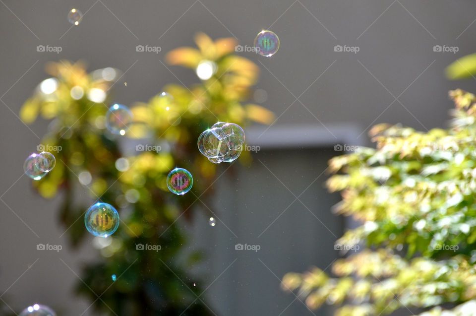 Soap bubbles