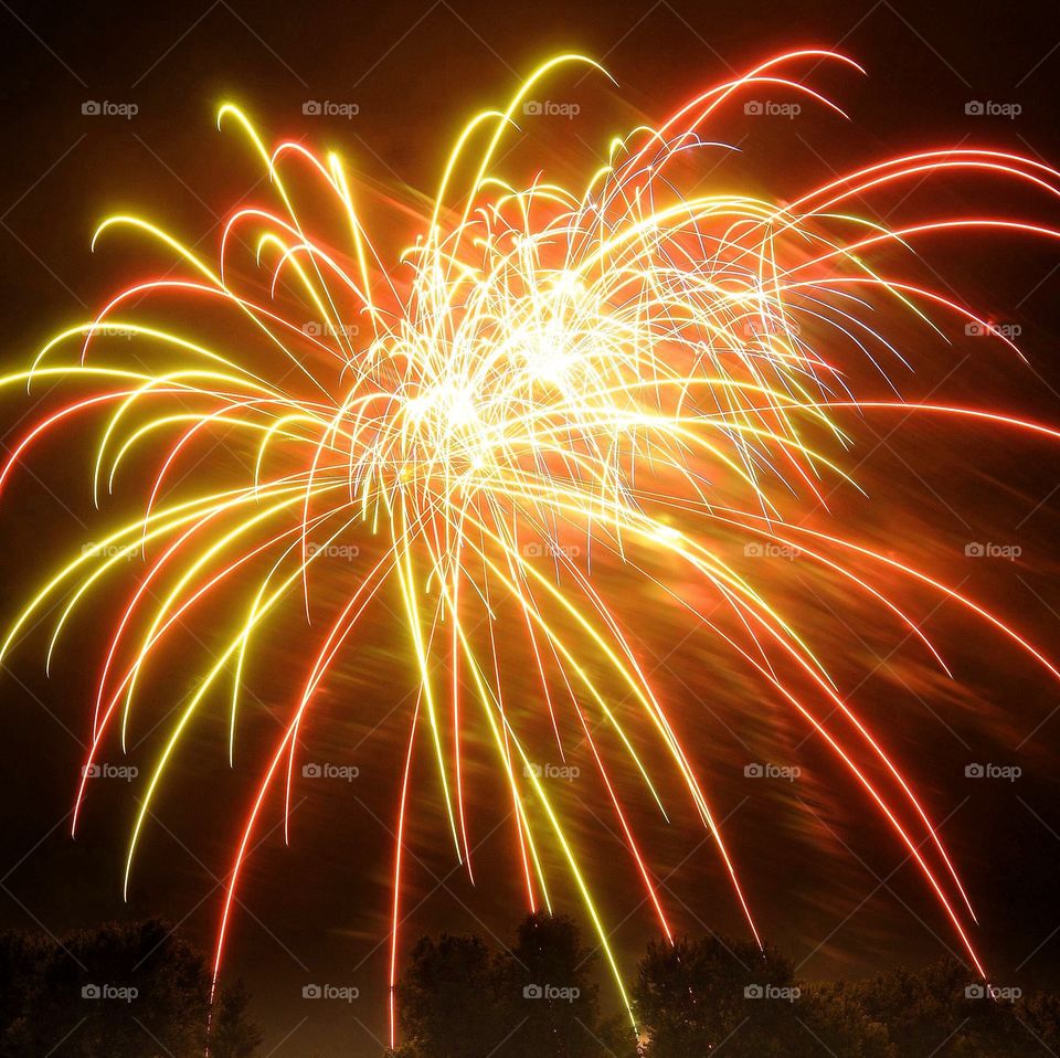 Winter celebration 🎉 