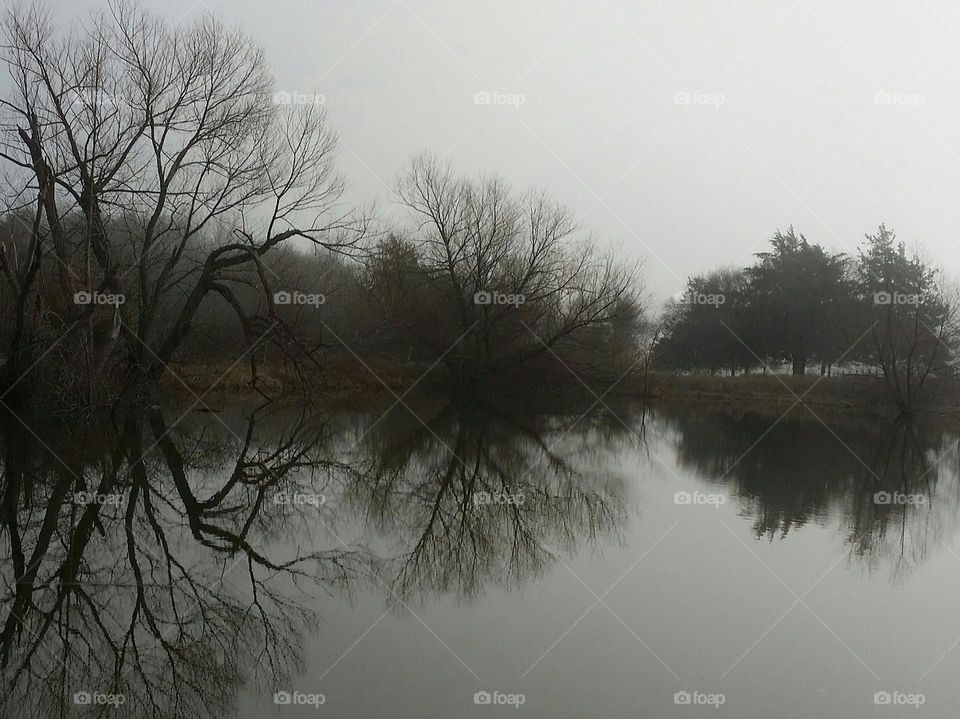 Dark Winter Trees Reflected in a Gray Pond on a Cold Day