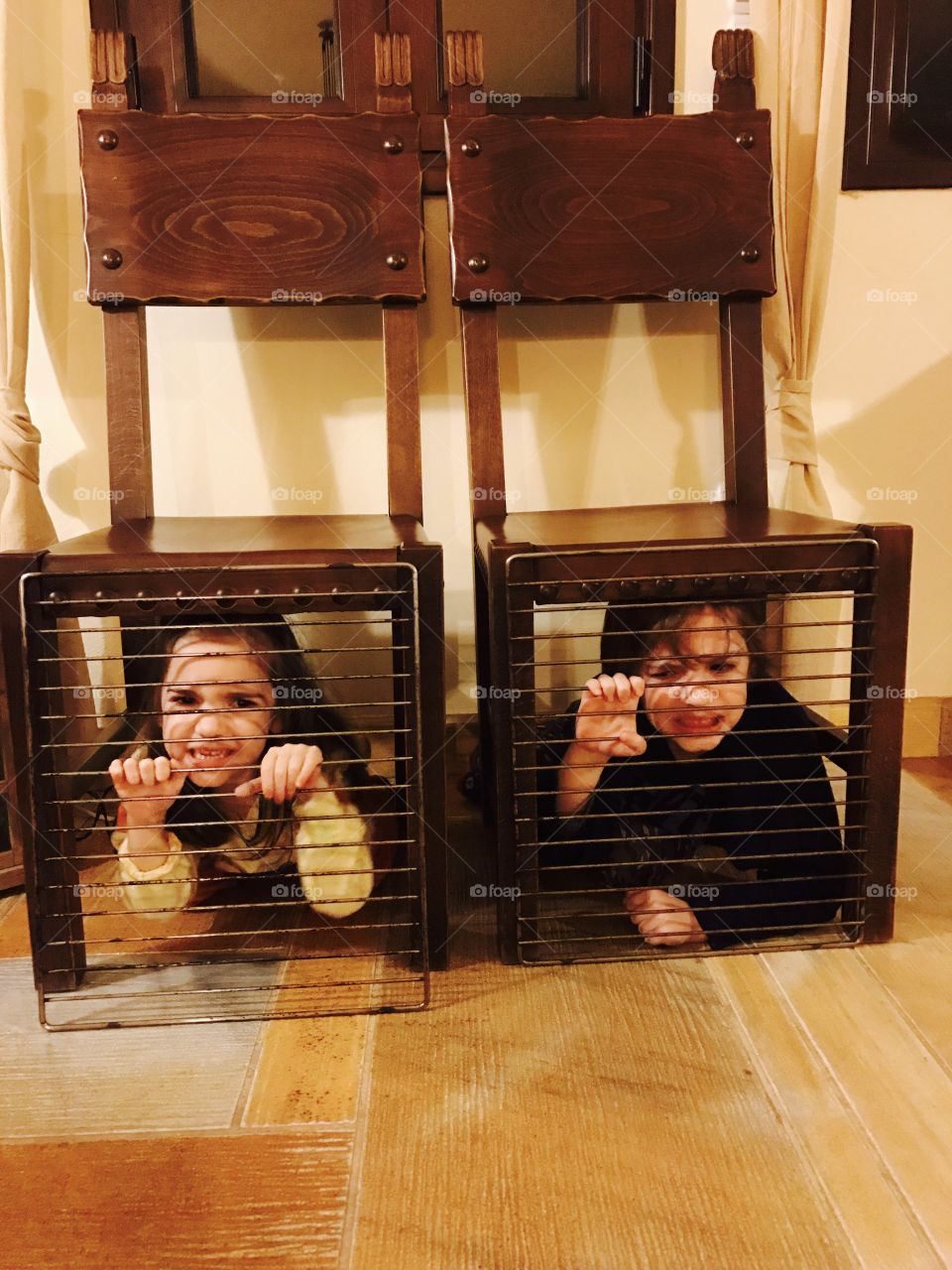 Lions in their cages