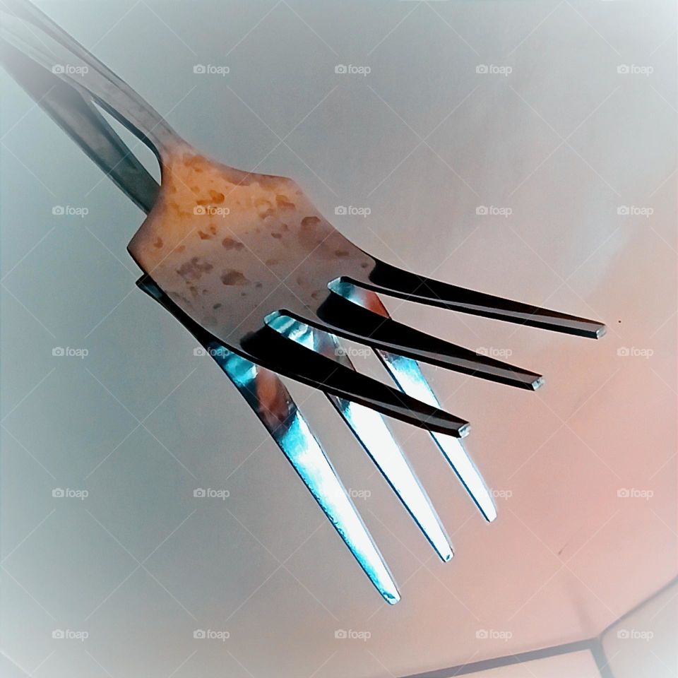 FORK WITH REFLECTION