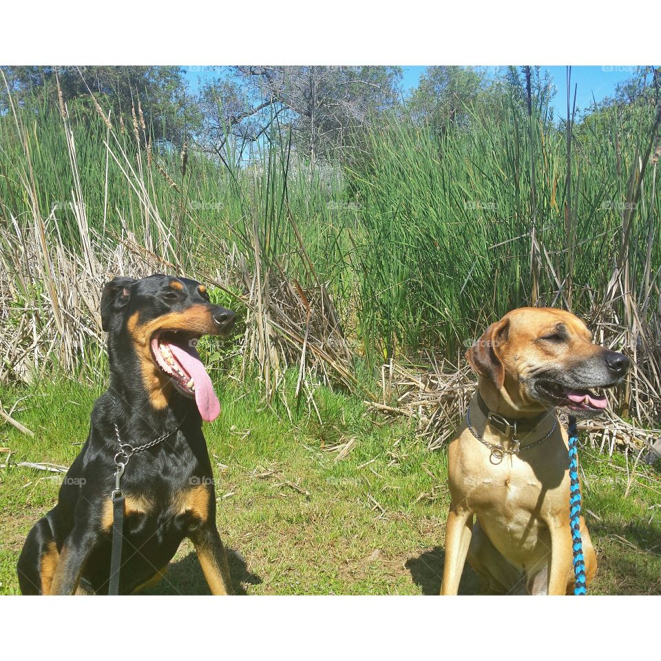 Take her out to get dinner instead of sitting here