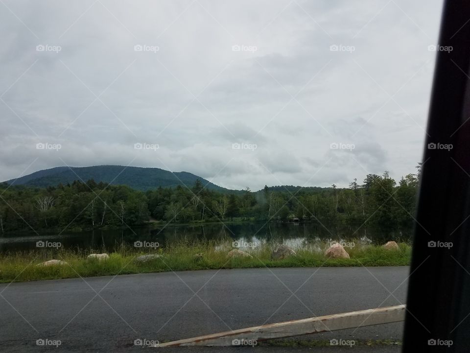 Landscape, Tree, Road, Travel, Water