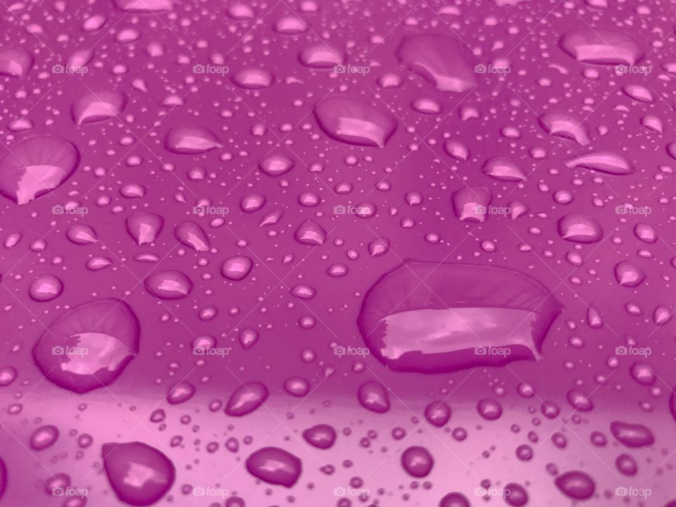 Pink wet background with drops 