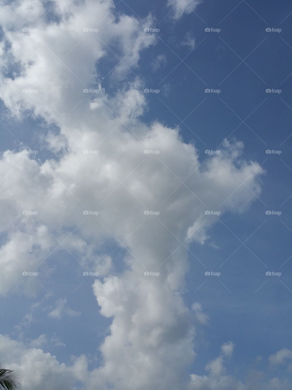 blue sky and white clouds