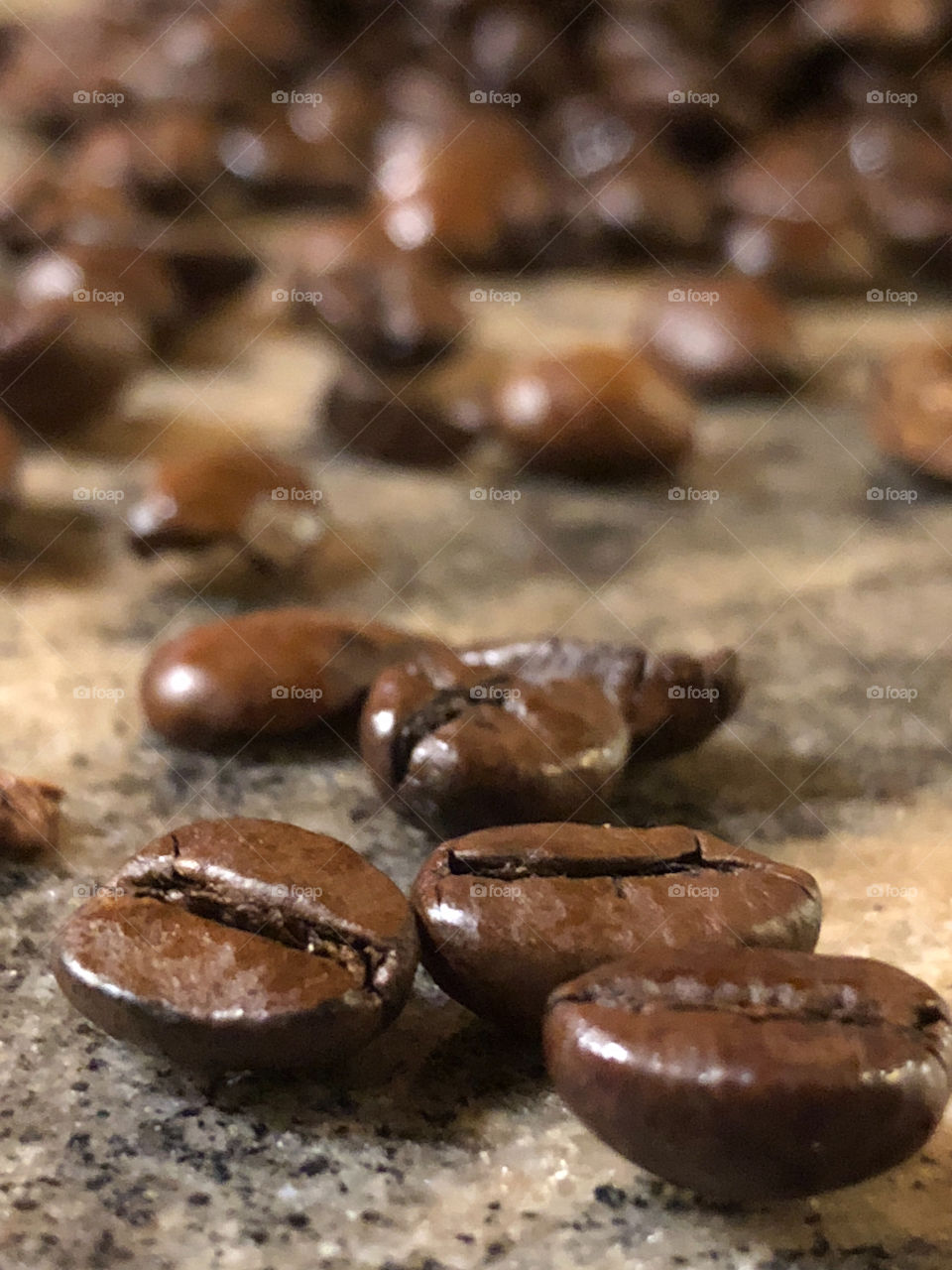 the smell of fresh coffee beans - captured in a photo