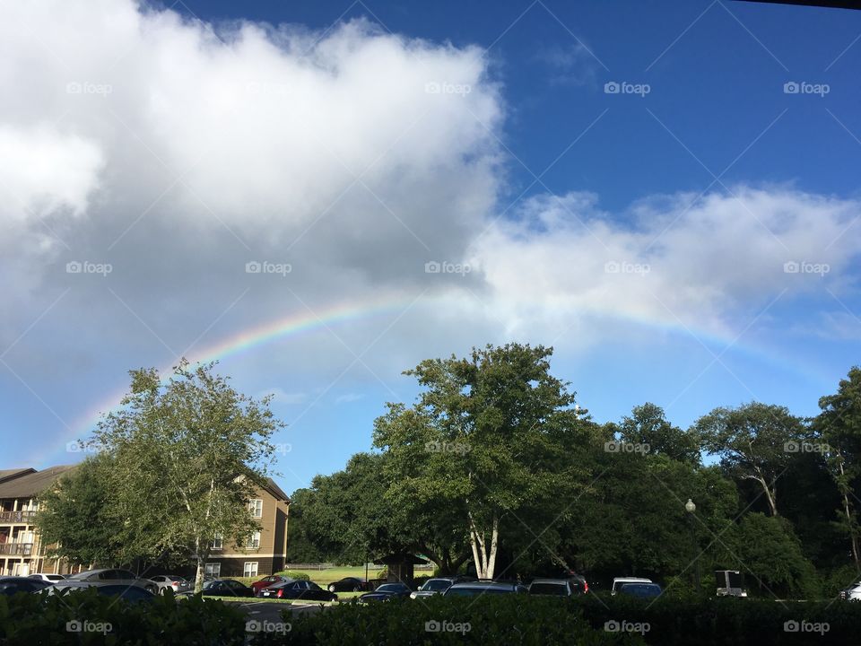 Rainbow after the hurricane 