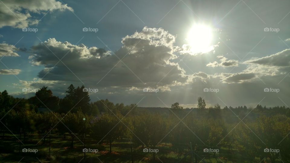 Sun and Clouds in Autumn