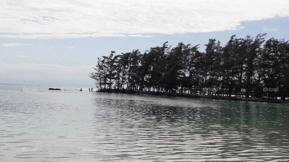 Water, Tree, Landscape, Lake, Sea