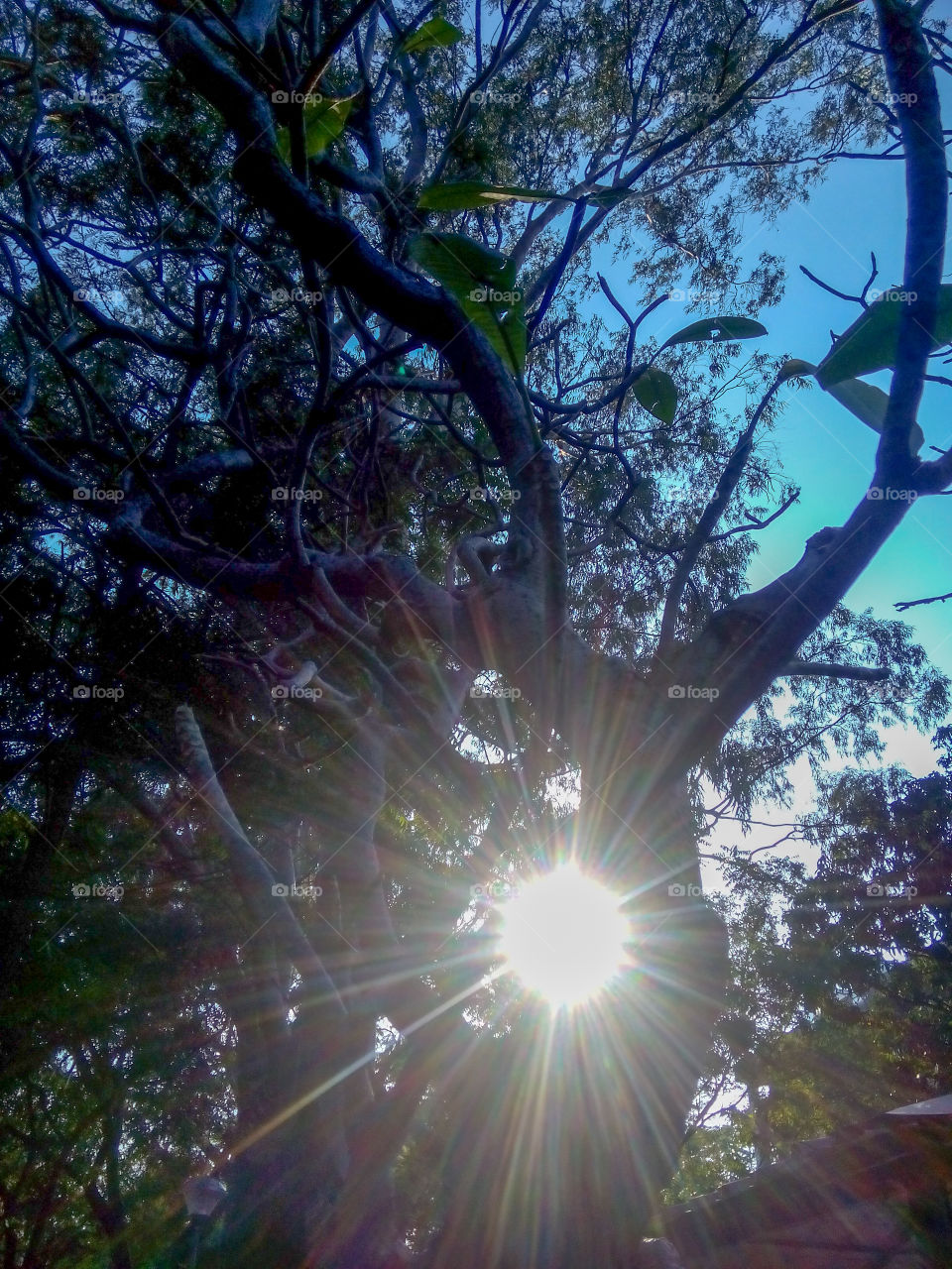 Sun, Nature, Bright, Fair Weather, Light