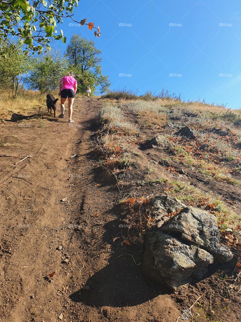 Walking on the Dobrogea mountains