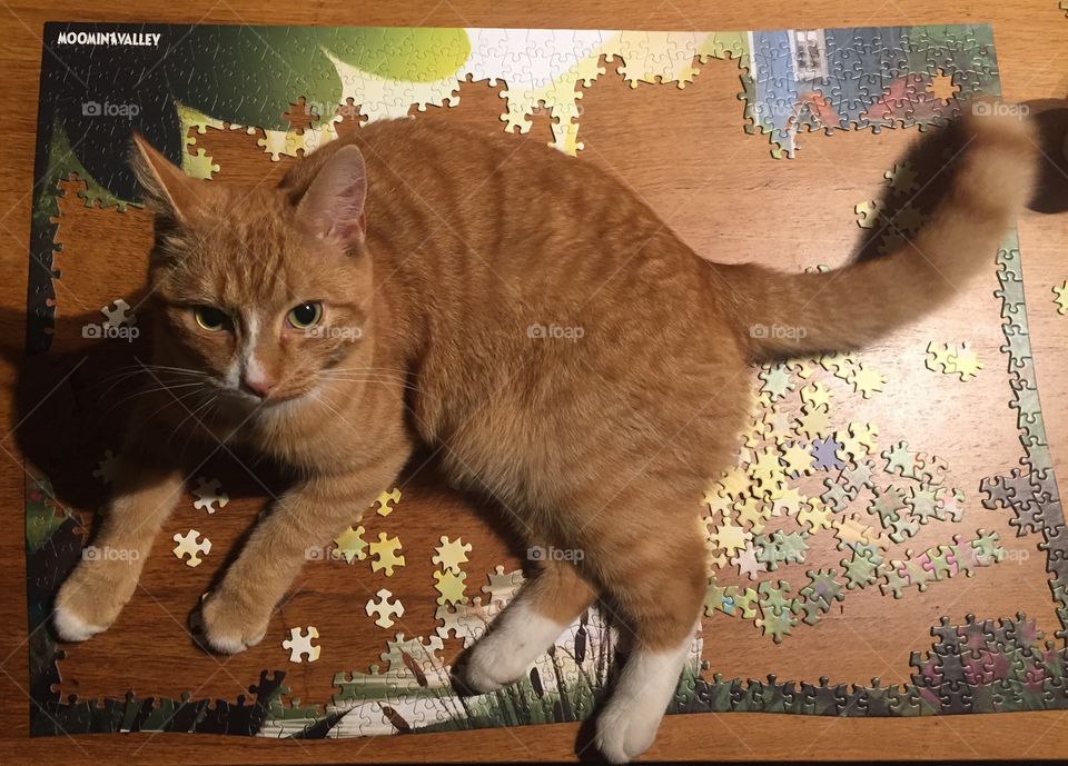 Puzzle interrupted