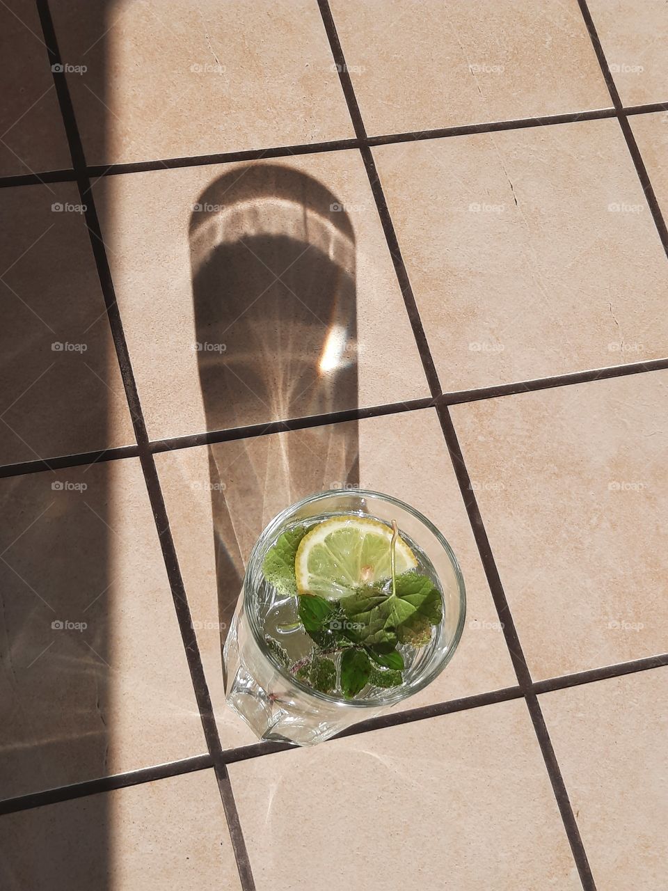 glass of water with lemon and fresh mint and ots shadow