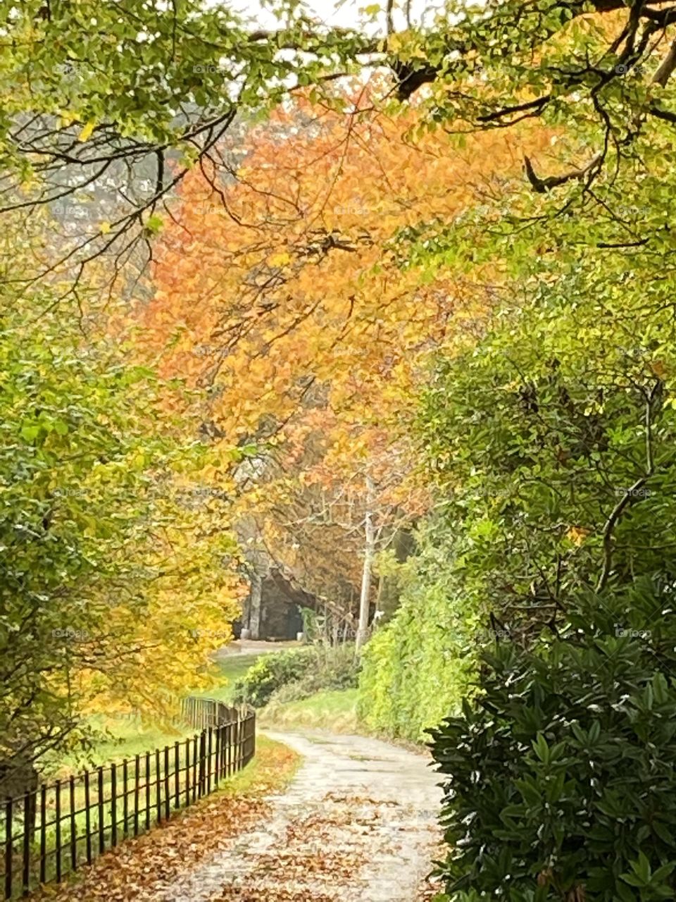Golden Gateway to National Park Exceptional Presence