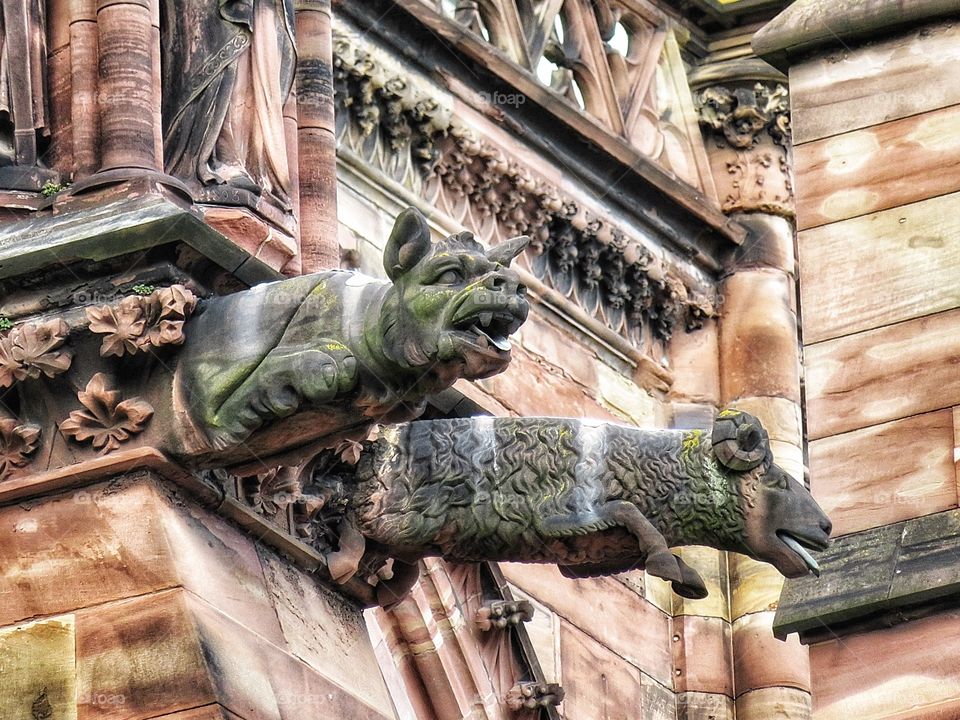 Strasbourg Cathedral detail 