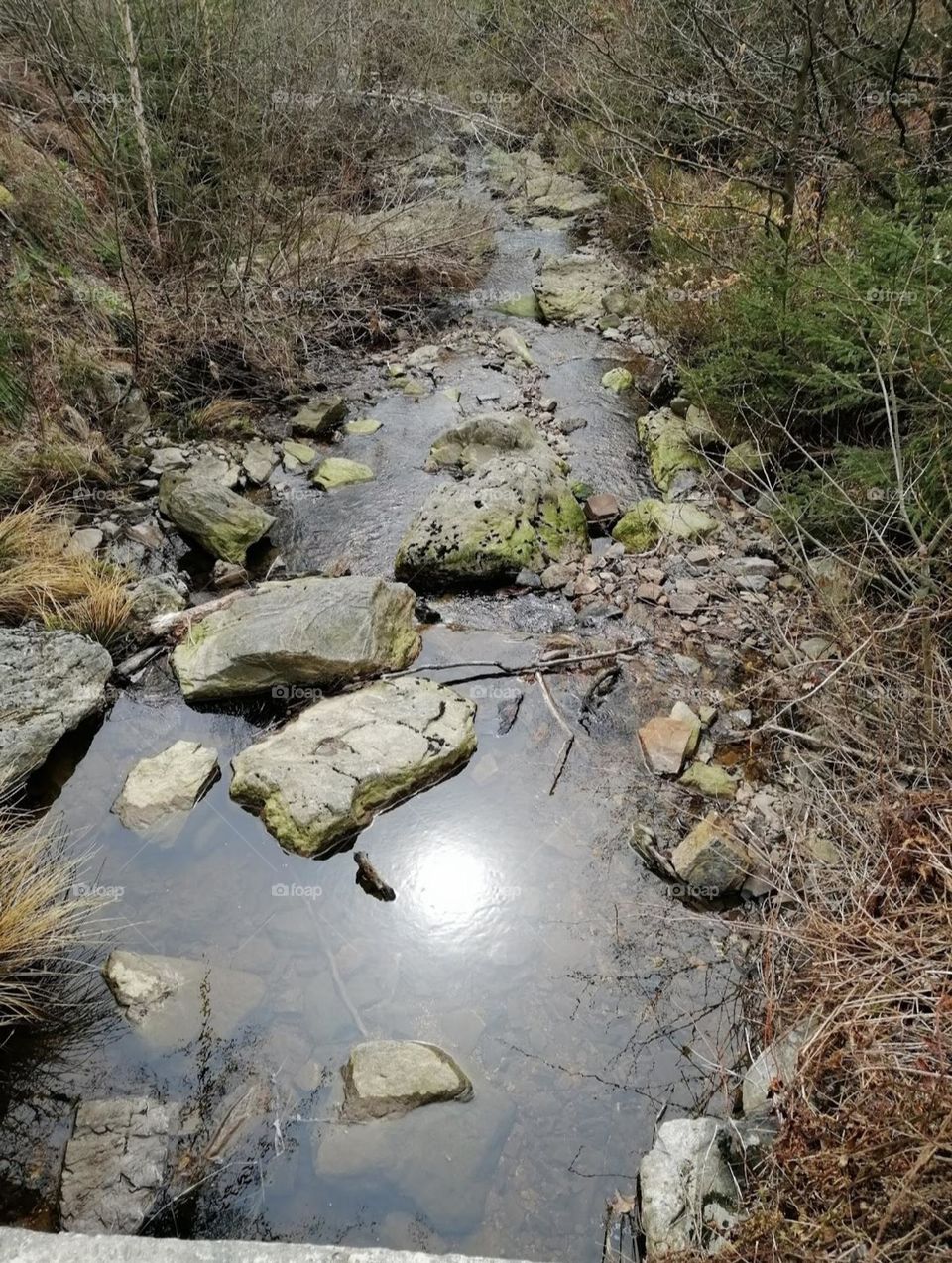 week end nature dans les Ardennes belge