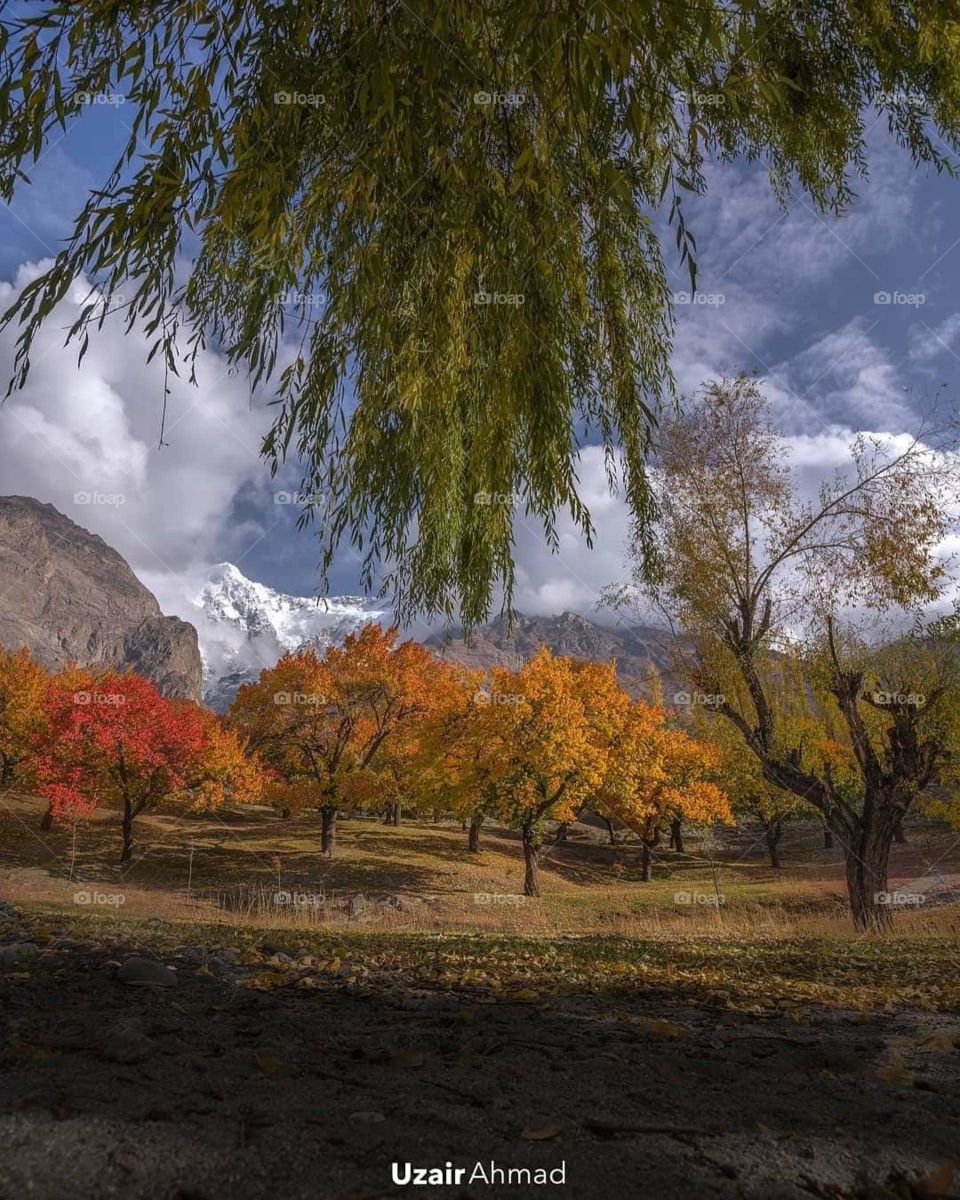 Pakistan naturel beauty