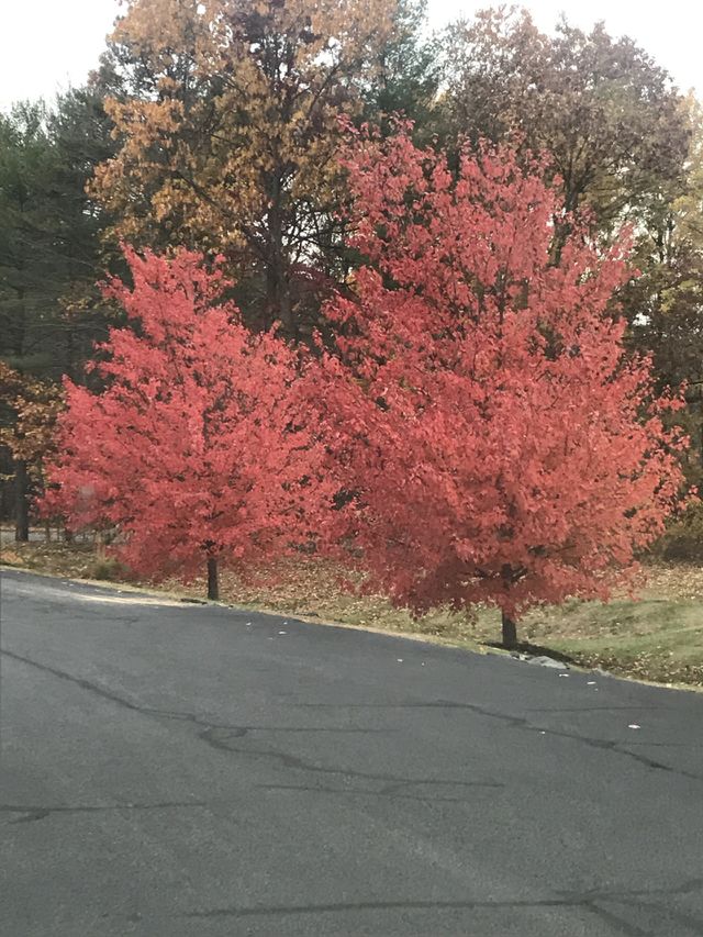 Outside