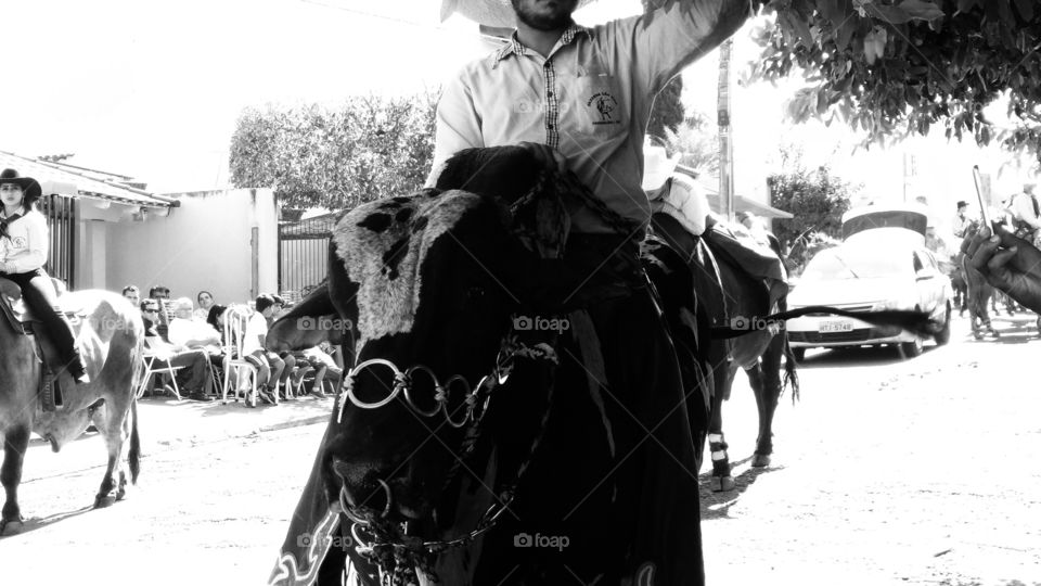 Cowboys e Cowgirls. Cavalos, touros e cavaleiros. Confraternização, cavalgada nas ruas.