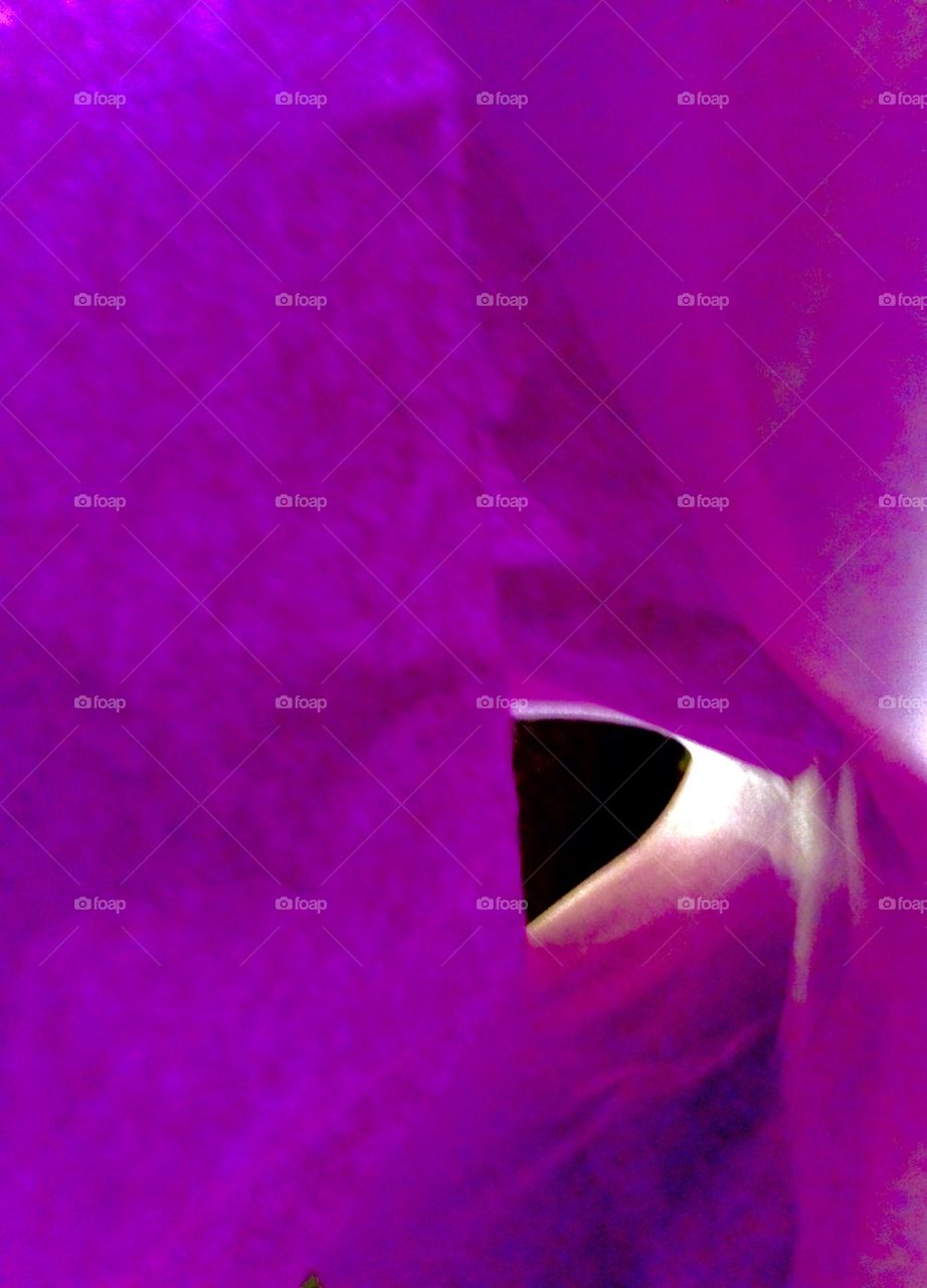 Lost In Purple Deep

Published by:
HappyBrownMonkey 