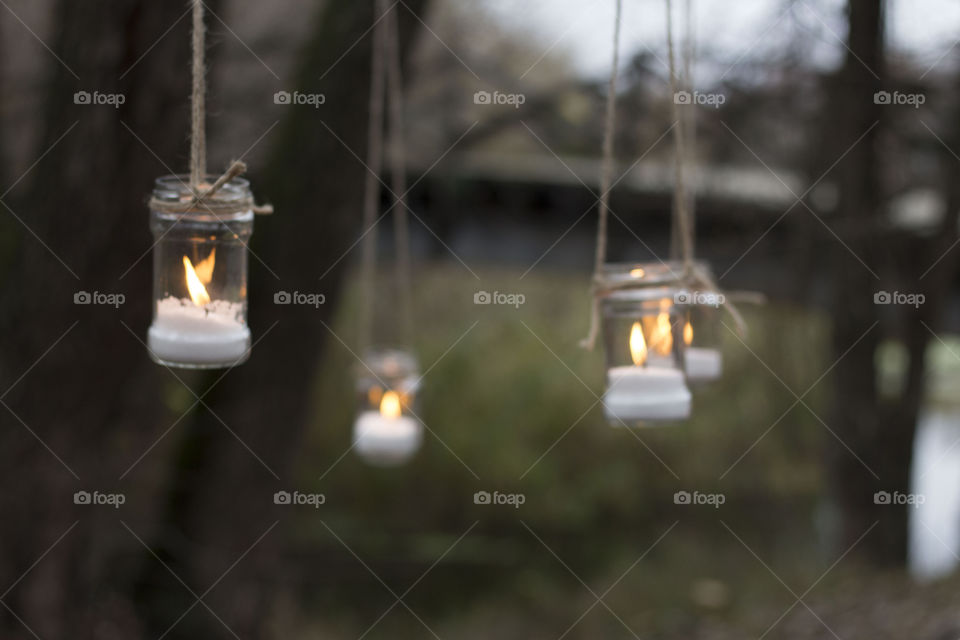 candle in a tree