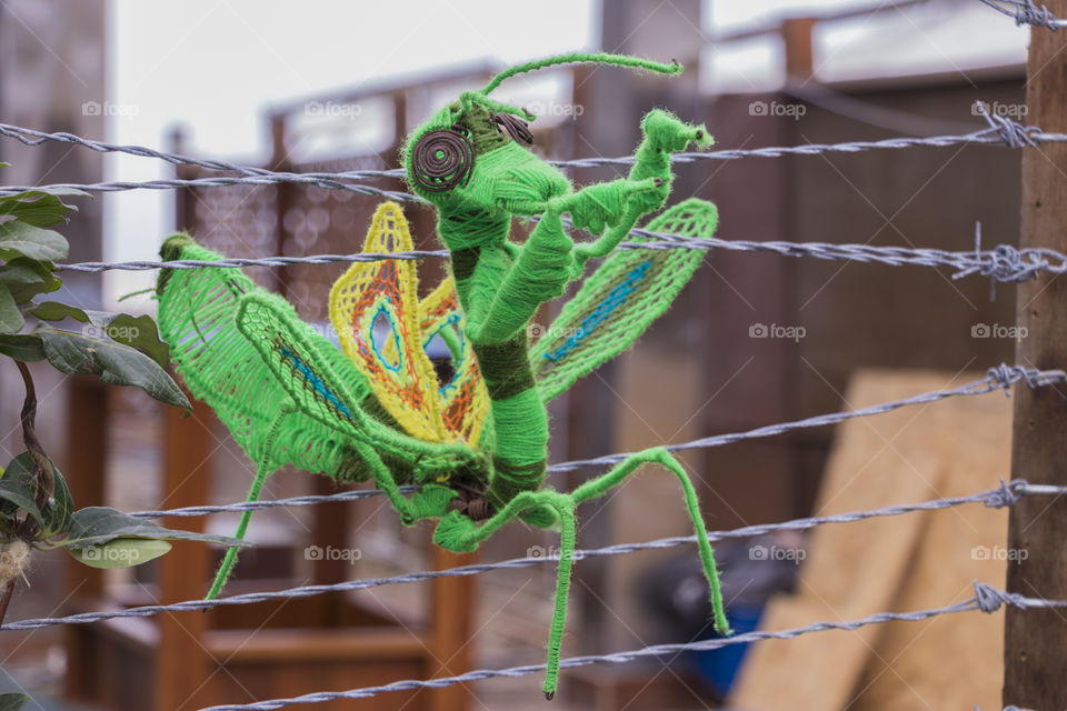 insect made of wool entangled in barbed wire