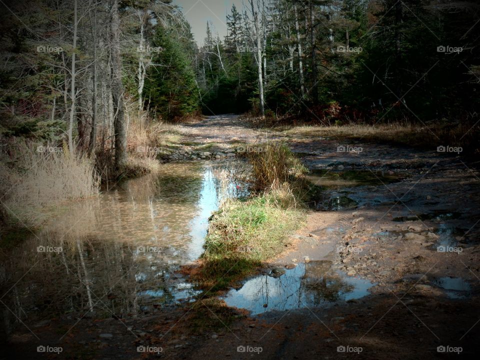 Drummond Island, Michigan 