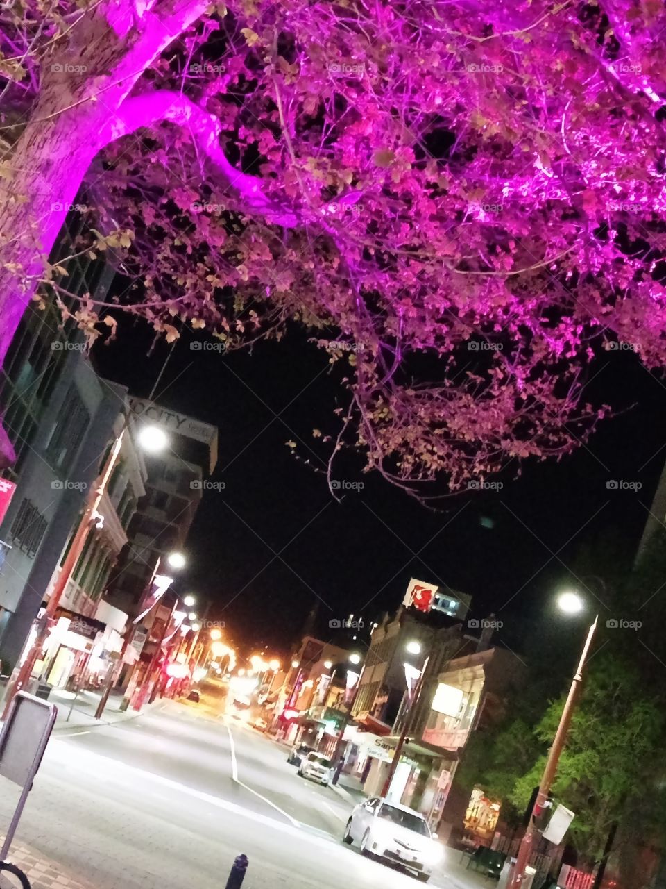 Illuminated Tree / Main Street / tilted Angle !