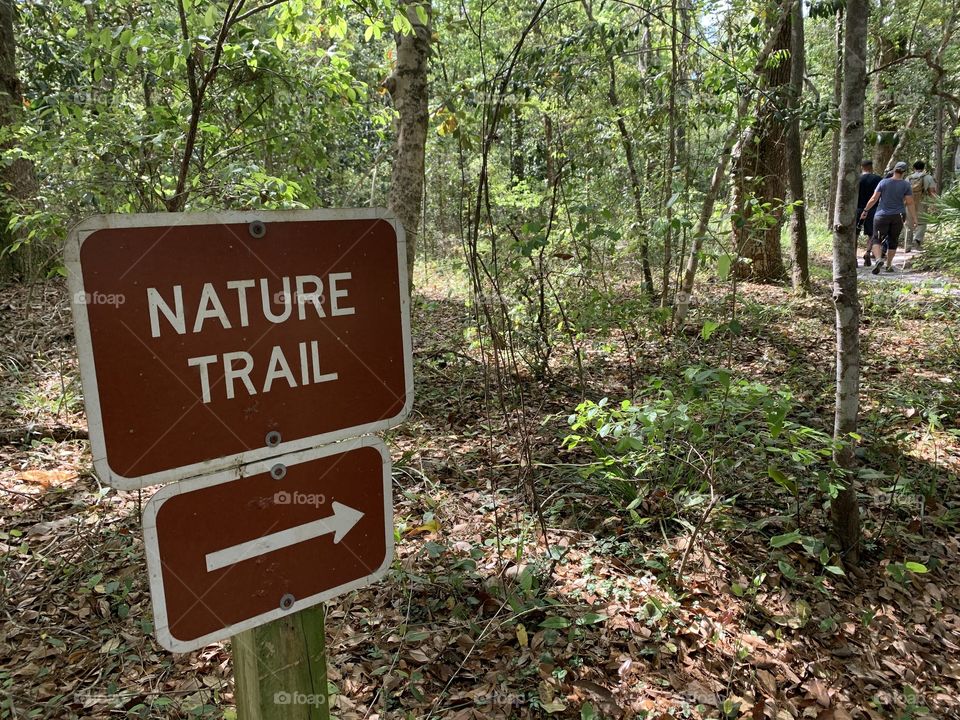 Eden Gardens State Park - With all the dismal news around the world - Take a walk through the park