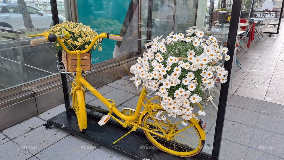 Bici primaveral