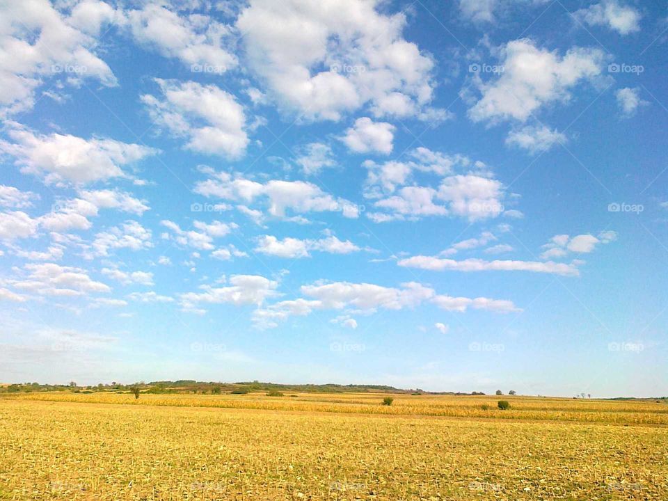 Pukovacko polje #2