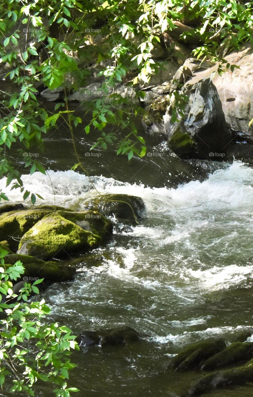 Creek in Gatlinburg 