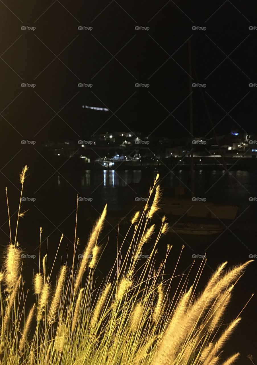 Light on grass at night