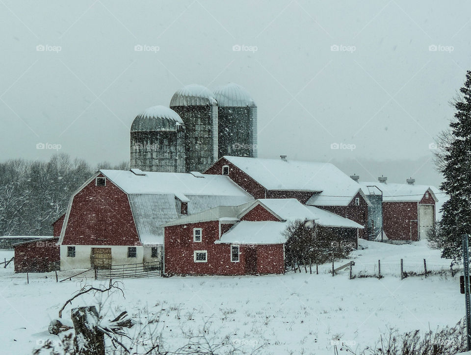 Winter on the Farm