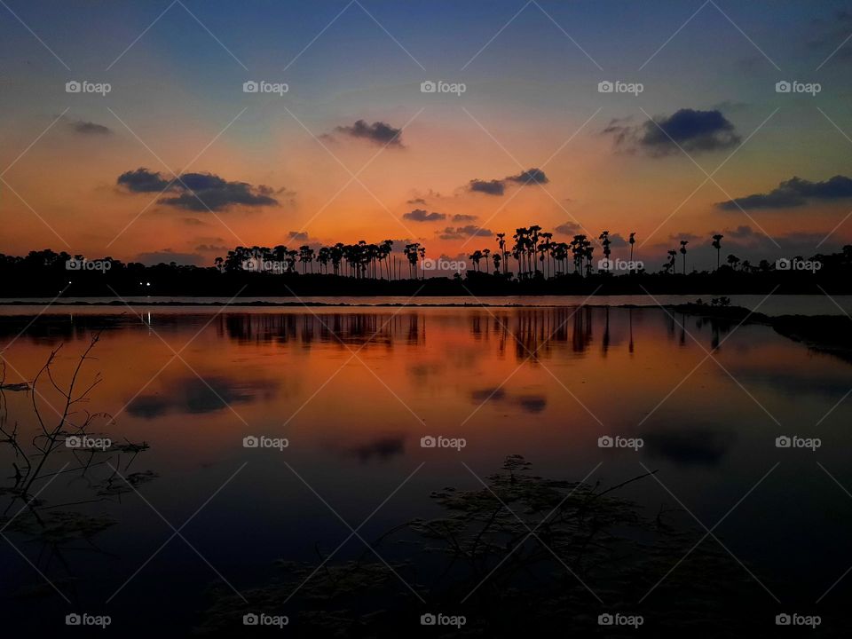 Breathtaking colours of a perfect sunset in the northern part of Sri Lanka with Palmyra trees in horizon