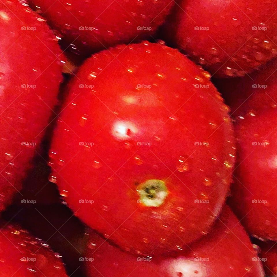 Rinsed tomatoes 