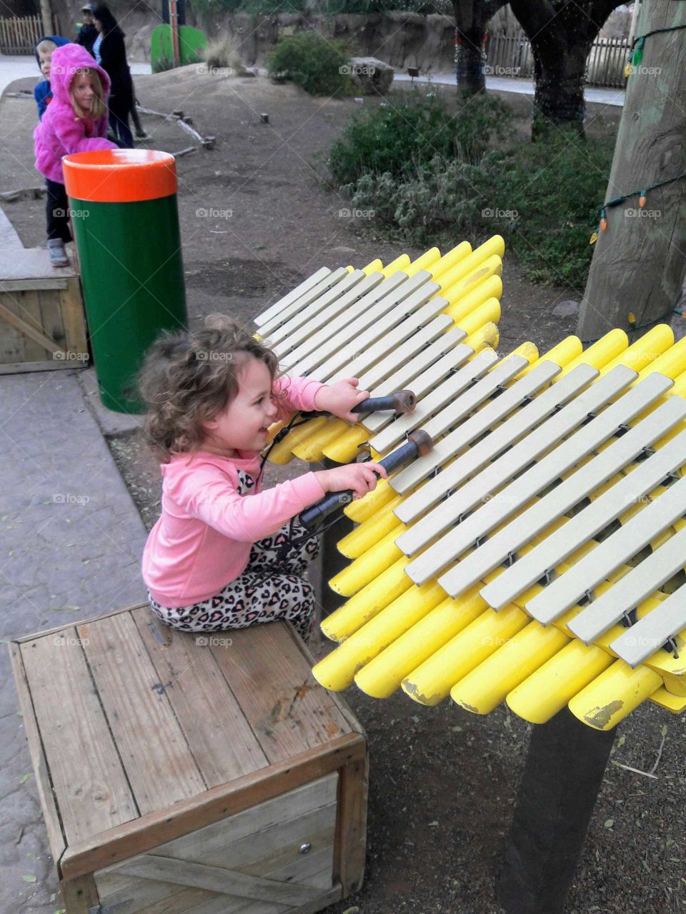 Xylophone player