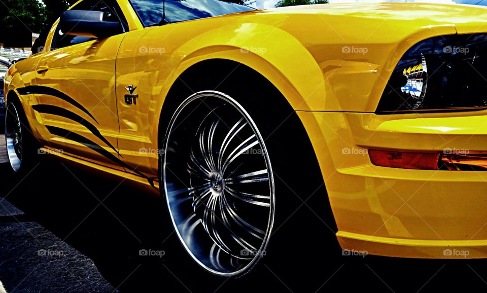 Mustang