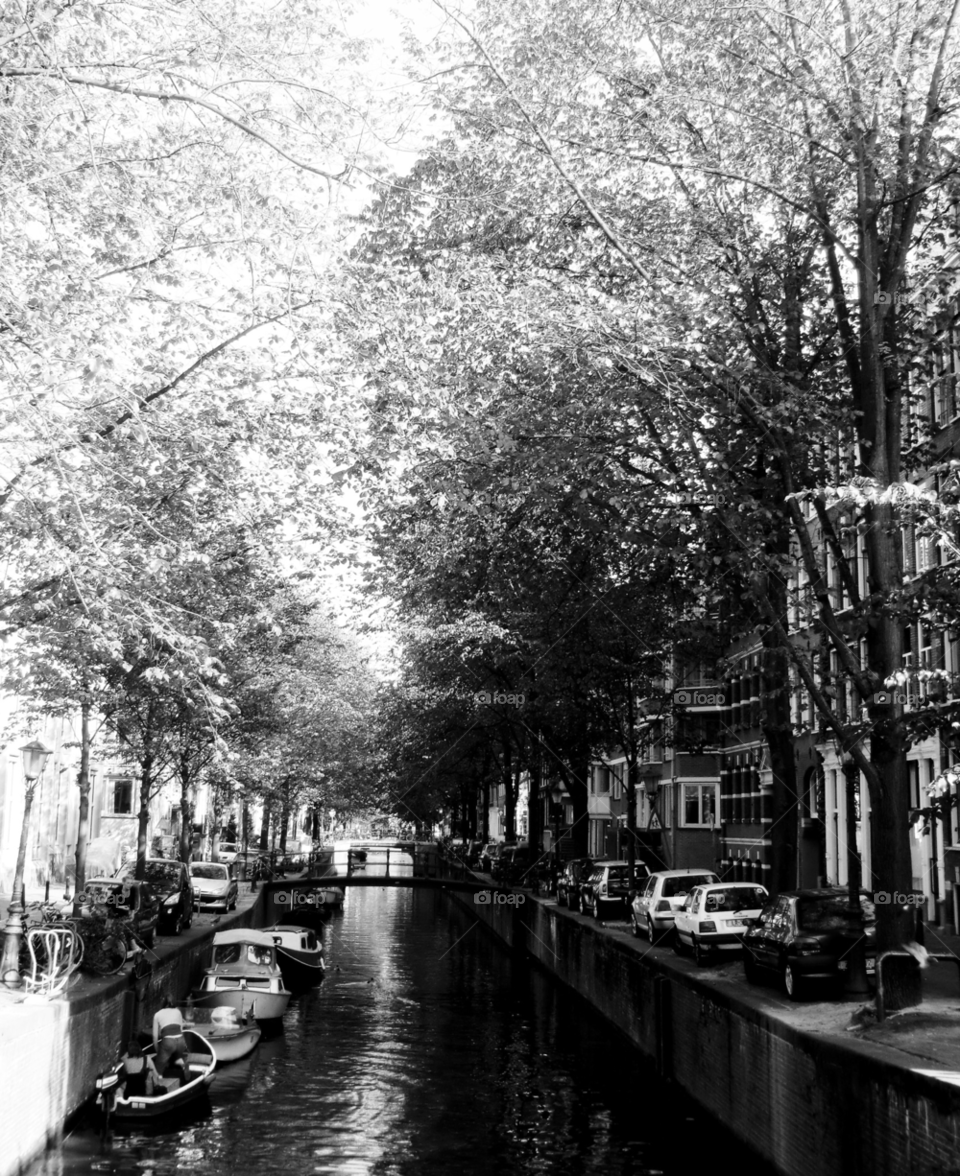 water canal calm amsterdam by cabday