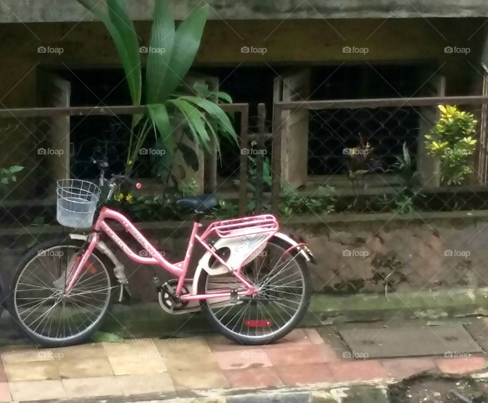 Pink female bicycle