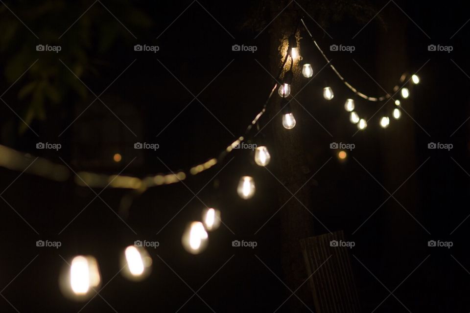 A string of vintage and retro edison lightbulbs lines and lights a tree path at a party reception in the tree lined park in the dark