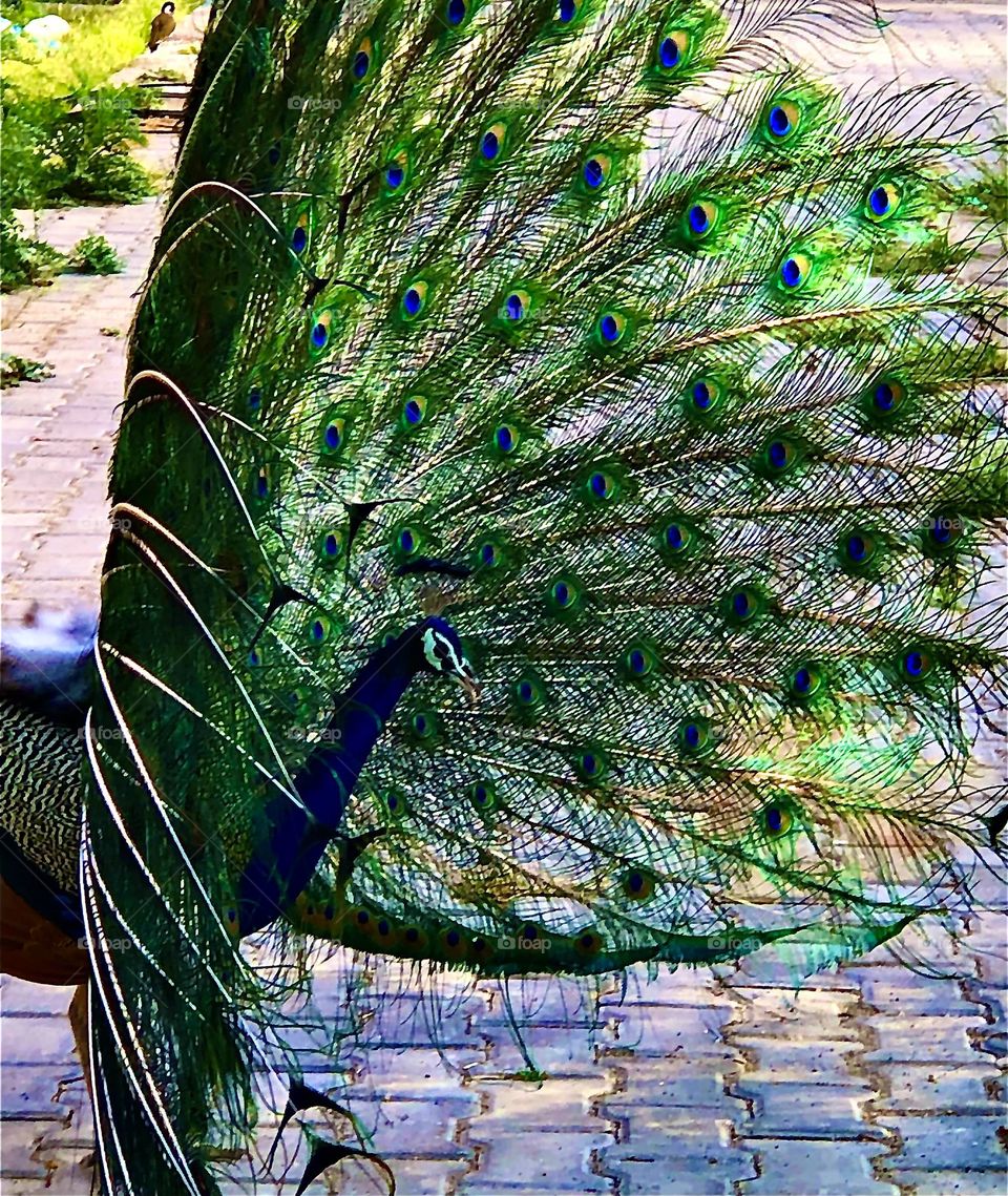 Upload the photo of the month April